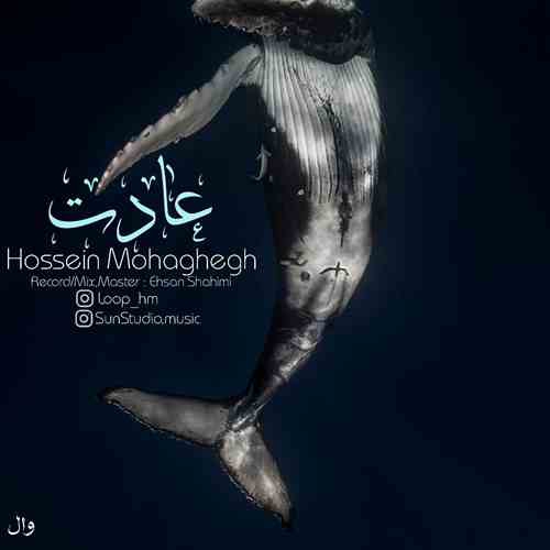 حسین محقق عادت